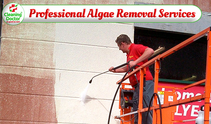 Cleaning Doctor Professional Algae Removal Services