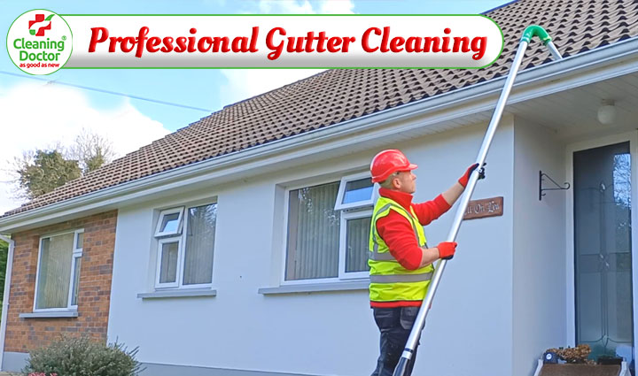 Cleaning Doctor Professional Gutter CLeaning Services