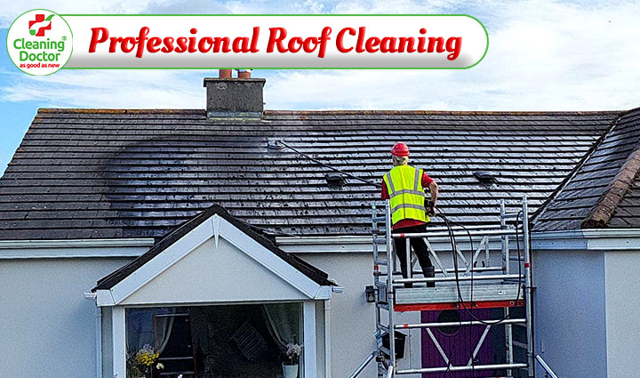 Cleaning Doctor, Professional Roof Cleaning Services