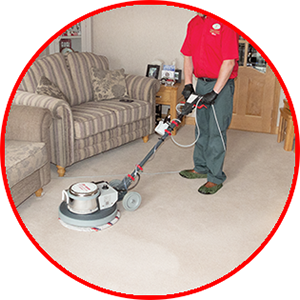 cleaning doctor carpet cleaning
