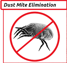 Cleaning Doctor, Professional Dust Mite Cleaning Services