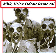 Cleaning Doctor, Professional Odour Removal Cleaning Services