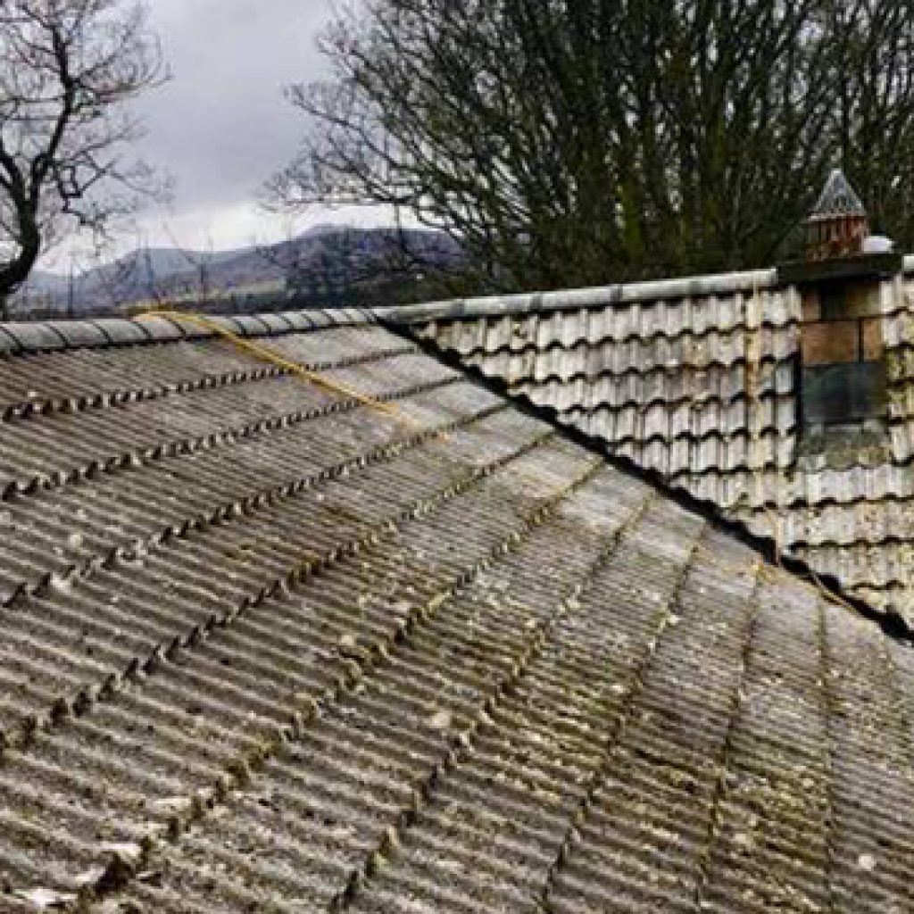 moss removal from mossy roof outdoor cleaning services