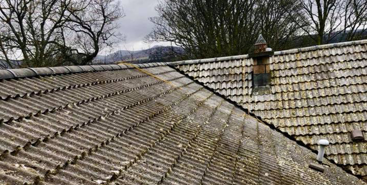 moss removal from mossy roof outdoor cleaning services