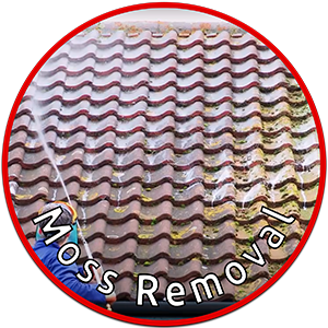 Cleaning Doctor Moss Removal Service outdoor cleaning services
