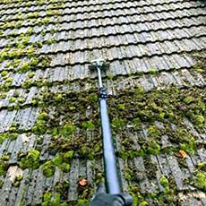 Cleaning Doctor Roof Cleaning