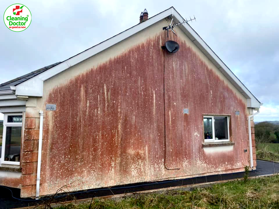 Gable Wall with red algae