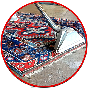 cleaning doctor rug cleaning