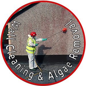 Cleaning Doctor Wall Cleaning Service